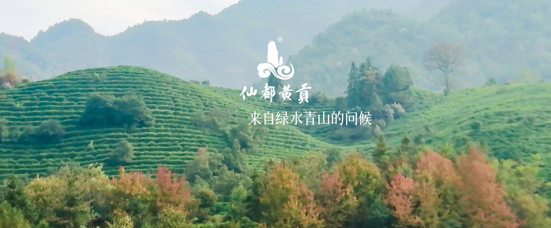 廣告一
