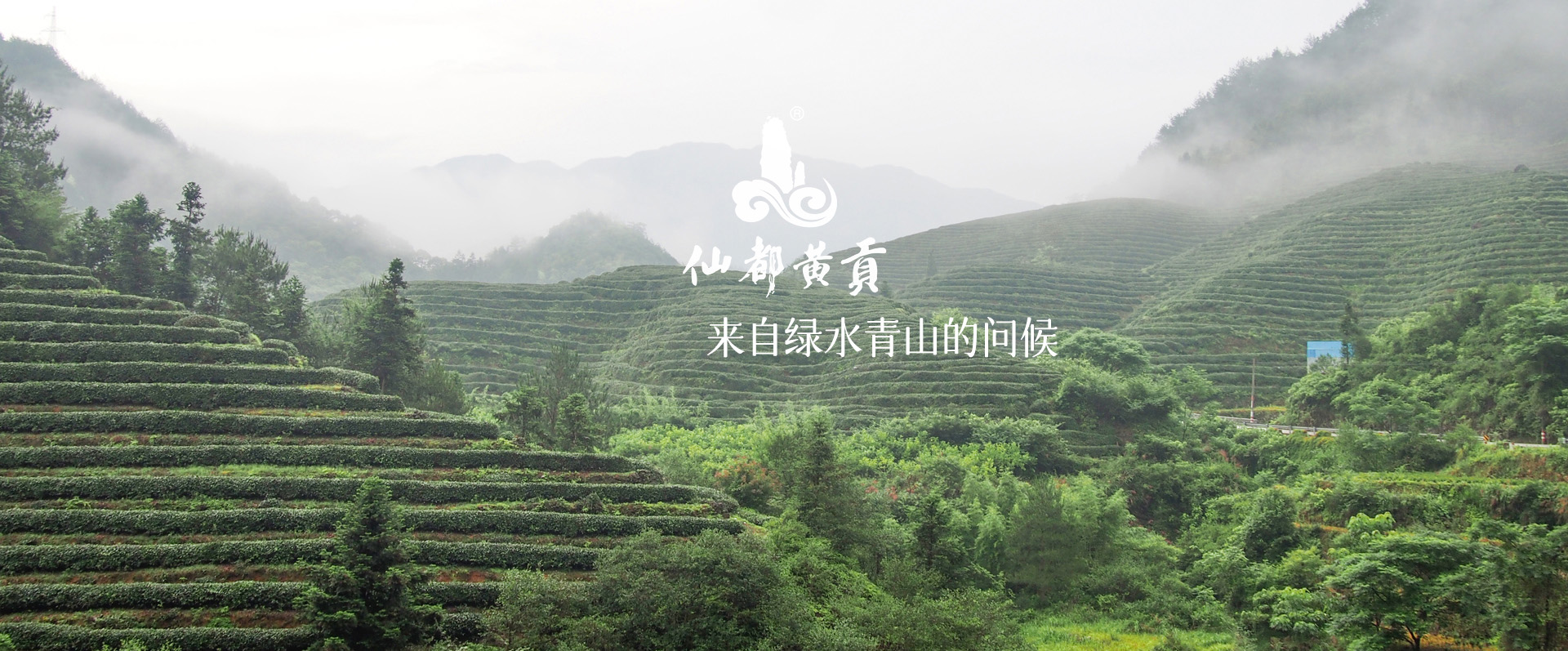 廣告二